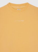 brillar jersey de algodón teñido en prenda Pepe Jeans 06X41601 chico - Imagen 3
