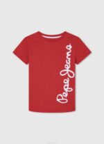 fundición camiseta básica con logo Pepe Jeans 06X41610 chico - Imagen 4